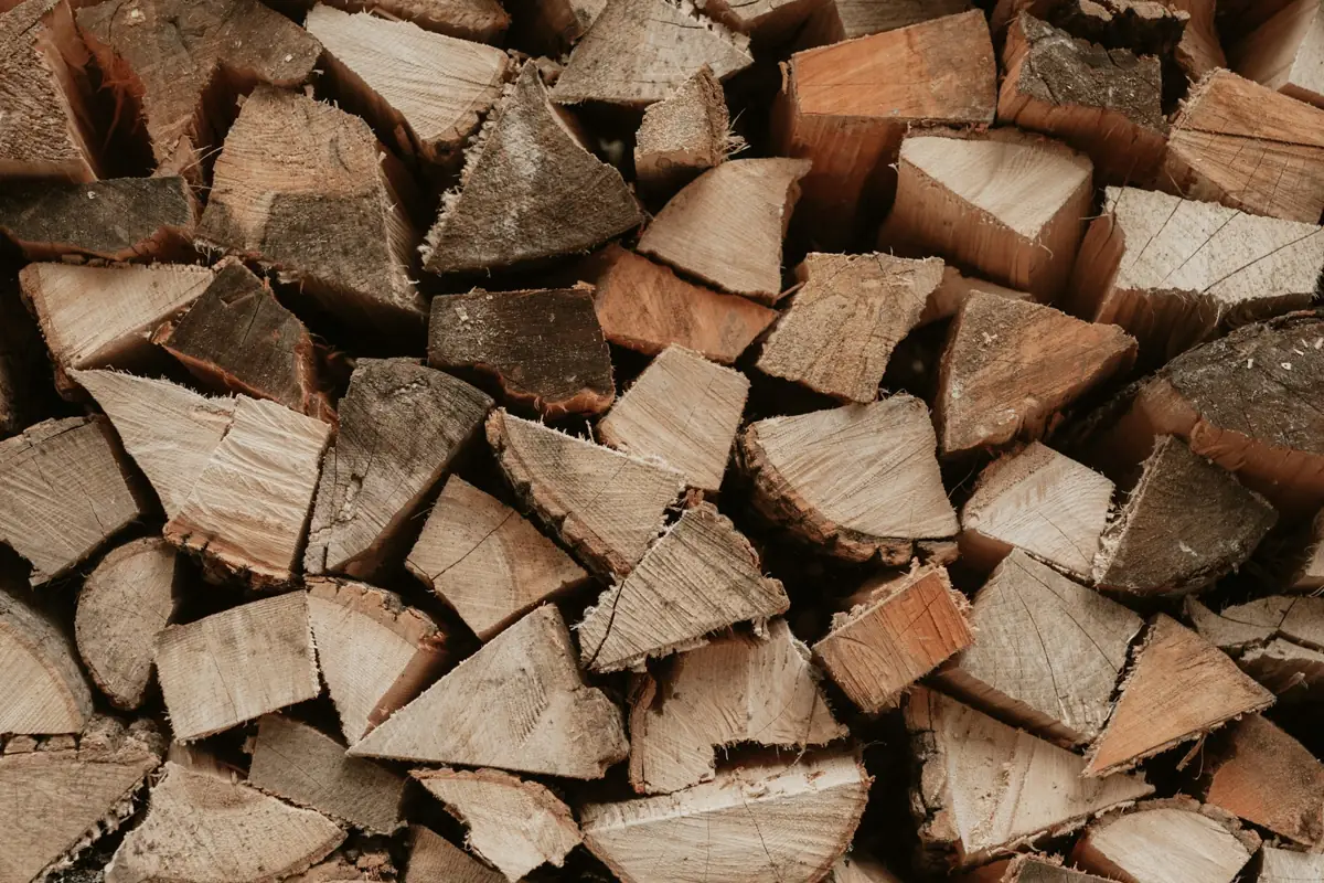 A stack of split firewood seen end on